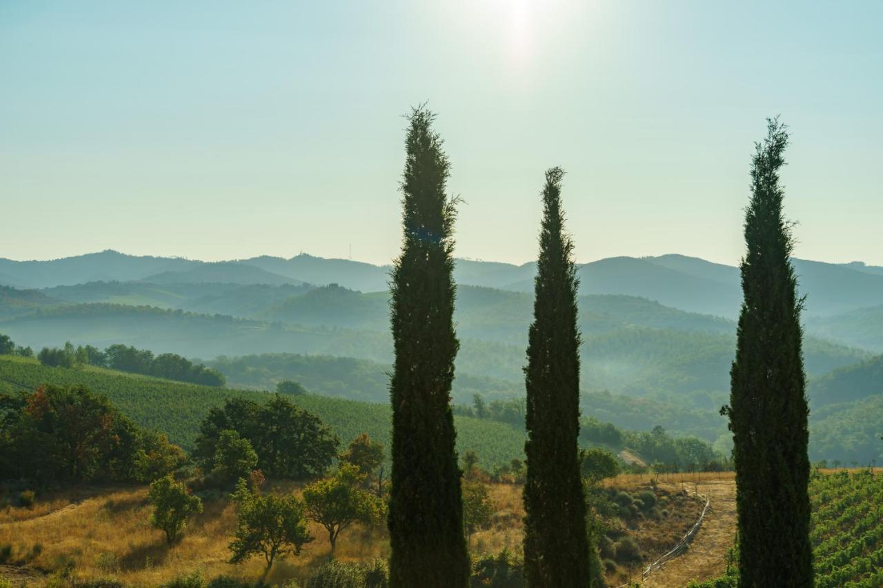 Вилла Celle Di Lecchi Nel Chianti San Sano Экстерьер фото