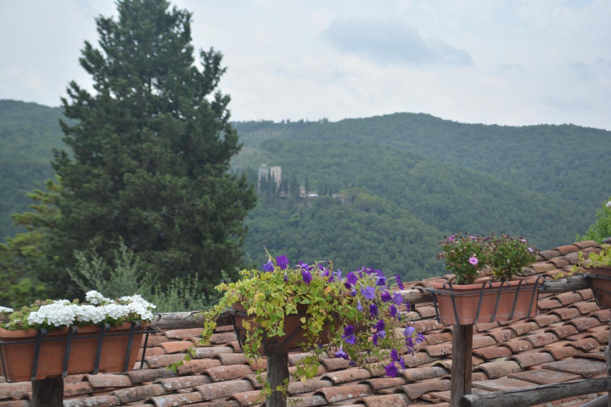 Вилла Celle Di Lecchi Nel Chianti San Sano Экстерьер фото