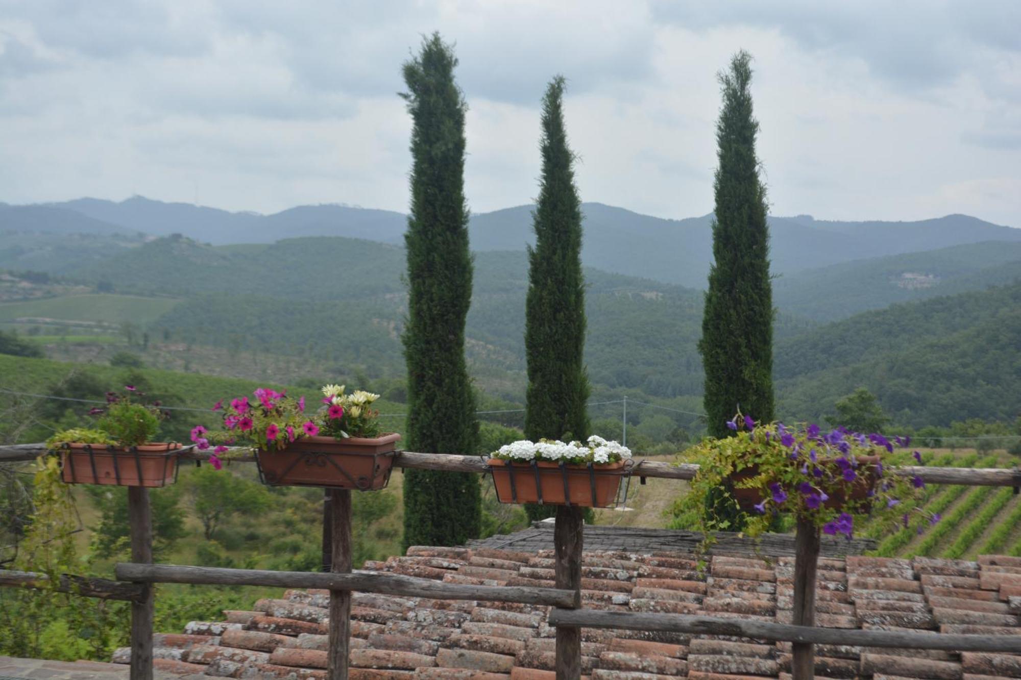 Вилла Celle Di Lecchi Nel Chianti San Sano Экстерьер фото